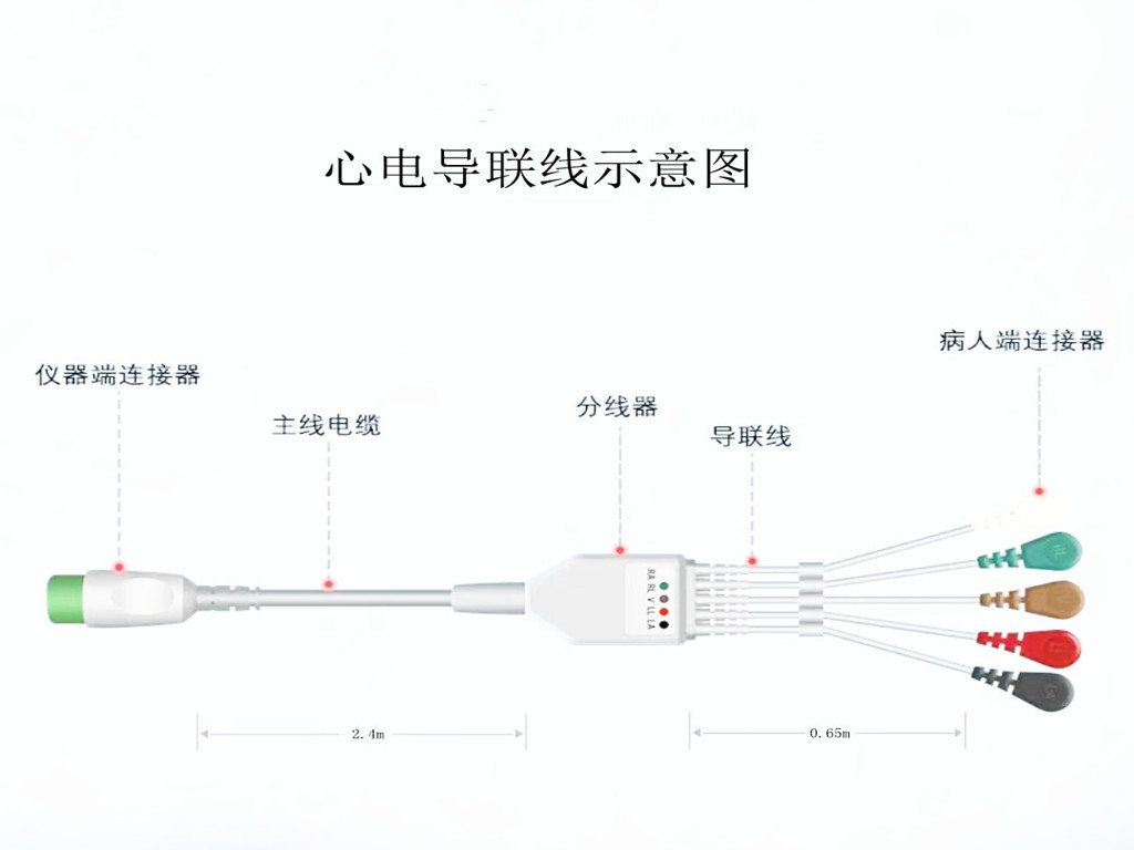 蜜桃黄色网站在线播放心電導聯線